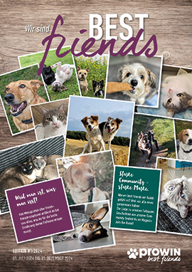 proIWN Produktkatalog Best Friends 2024